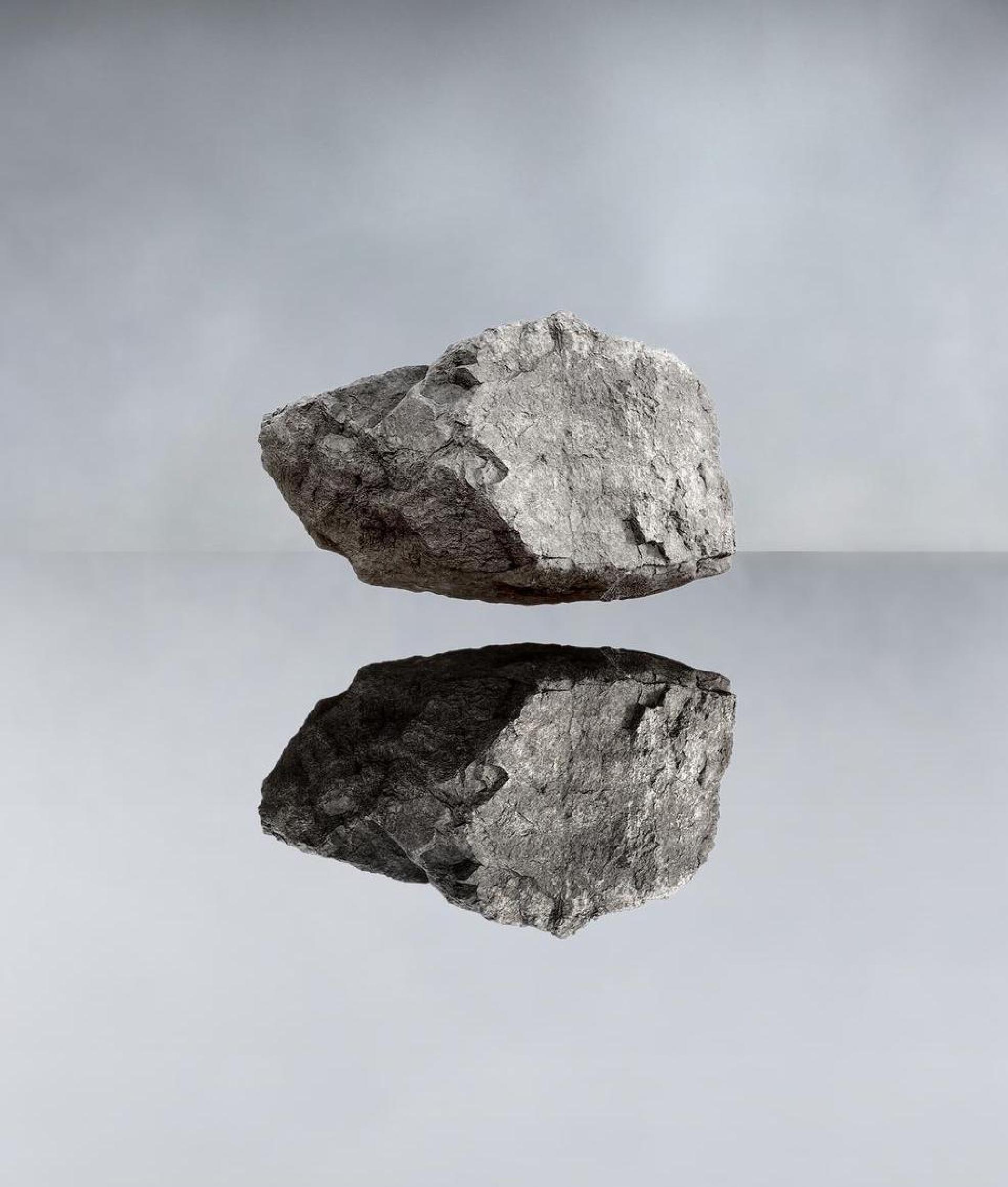 mortalities_therock-cropped.jpeg